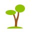 Psico Ayuda Infantil - Inteligencias múltiples: Inteligencia naturalista