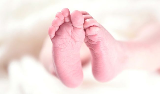 Psico Ayuda Infantil – Desarrollo del niño: 0-2 años Psico Ayuda Infantil - Desarrollo del niño: 0-2 años