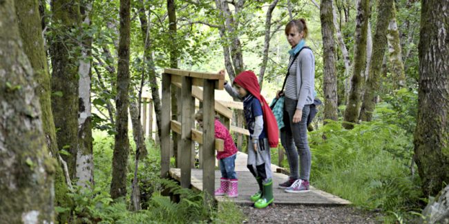 Montessori: ¿Cómo encaja el adulto preparado en el rol de madre? Montessori: ¿Cómo encaja el adulto preparado en el rol de madre?